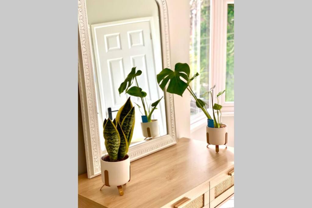 Cleveland House - Perfect For Beaches And Town. Μπόρνμουθ Εξωτερικό φωτογραφία